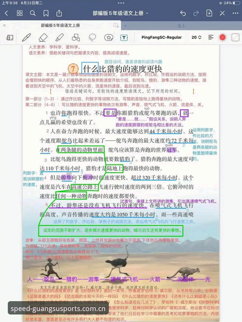 新手必看！光速体育能否看回放？一位资深用户的使用心得全解析